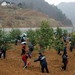 黄果树瀑布 贵州 安顺 植树 黄果树瀑布 贵州 安顺 植树