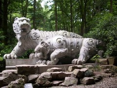 虎跑泉图片