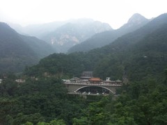 泰山