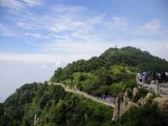 泰山