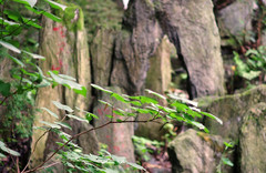 香溪洞风景区图片