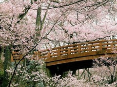 箱根平和公园图片