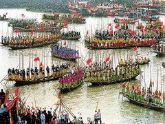 溱湖湿地图片