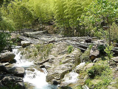 龙王山图片