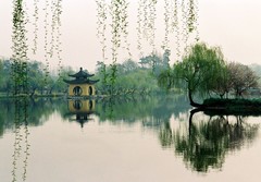 瘦西湖图片