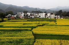 婺源
