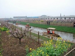 荡舟桃林