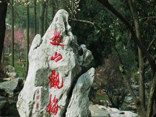 超山