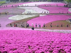 富士山图片