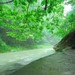 张家界十大“勾魂”美景 张家界十大“勾魂”美景