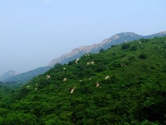 盘山风景名胜区图片