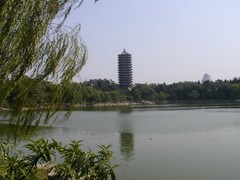风中西湖