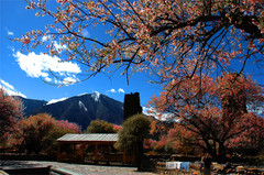 林芝旅游景区图片