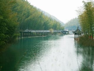 竹文化