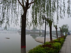 荷花大观园