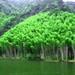 浙西大峡谷 老碓溪