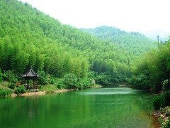 溧阳南山竹海图片