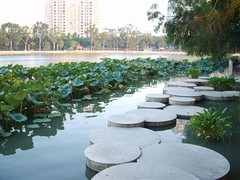 福州大学图片