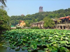 鼋头渚5