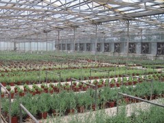 2010031520533548324