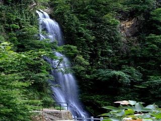 雁荡飞瀑