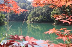 企业文化公园图片