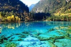 比利时购物_比利时买什么_比利时旅游攻略_最